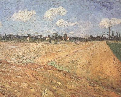 Vincent Van Gogh Ploughed Field (nn04) France oil painting art
